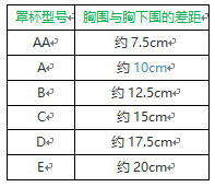  胸罩罩杯尺寸说明表